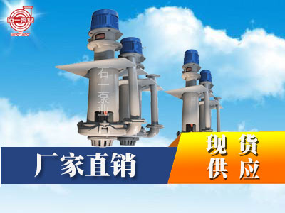 SPS型液下渣浆泵_立式渣浆泵